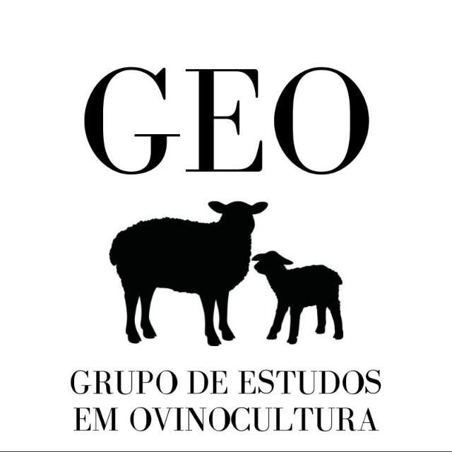 Logo Renata Maculan Machado