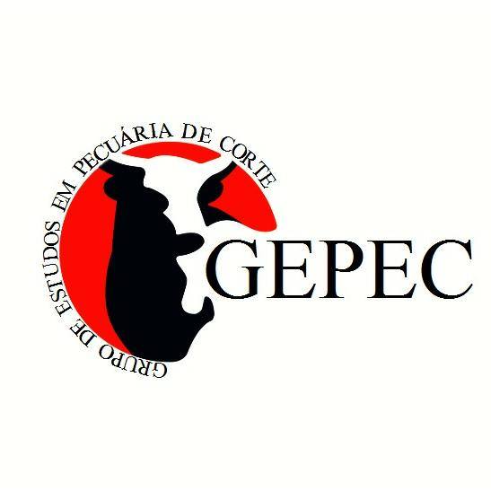 Logo Gepec Diego Zanetti Machado