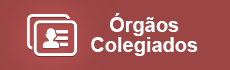 página que direciona para a página de Órgãos Colegiados